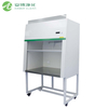 Classe 100 Propreté Horizontal Laminar Flow Clean Banc pour biopharmaceutique